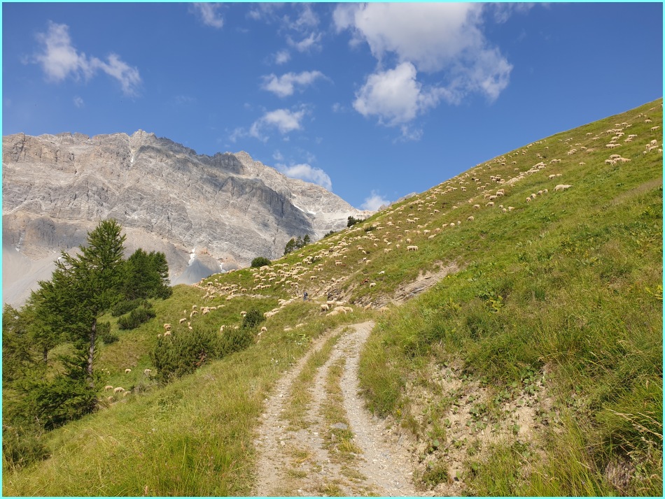 Anstieg Colle delle Rho.jpg